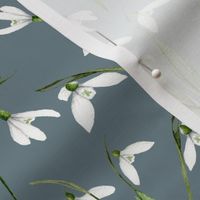 Snowdrop Flowers Grey