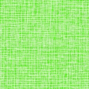 Solid Green Plain Green Natural Texture Small Stripes and Checks Grunge Green Inch Worm Baby Green A6FF4C Fresh Modern Abstract Geometric