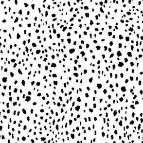 Dalmatian Spots