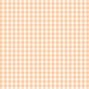 Gingham Check peach brown Small Scale by Jac Slade