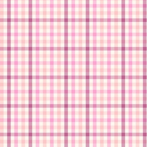 Gingham Check summer berry Small Scale by Jac Slade