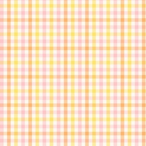 Gingham Check summer peach Small Scale by Jac Slade