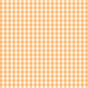 Gingham Check summer orange Small Scale by Jac Slade