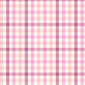 Gingham Check summer berry Regular Scale by Jac Slade