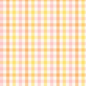 Gingham Check summer peach Regular Scale by Jac Slade