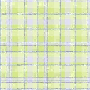 tartan lilac-lime1