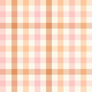 Gingham Check neural brown Large Scale by Jac Slade