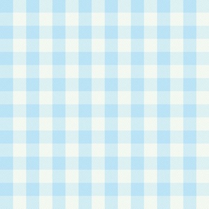 Gingham Check sky blue Large Scale by Jac Slade