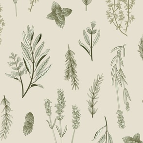 Old World Fragrant Herbs botanical - spaced, bi-directional - soft green on linen cream - large