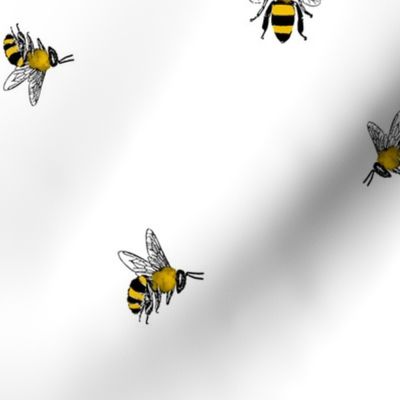 Bee,bees,insects,bumblebee 
