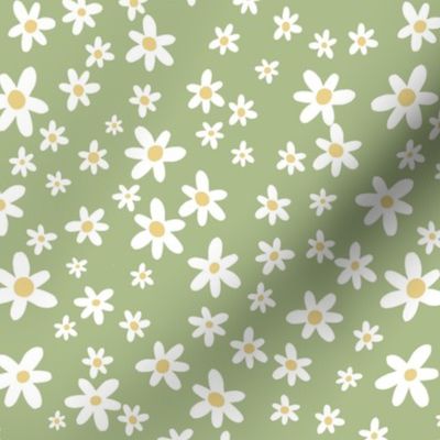 Sweet Baby Field of Daisies//Green