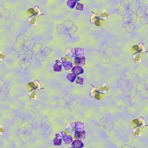 Hydrangea petals -hand drawn and watercolors on abstract green and lilac