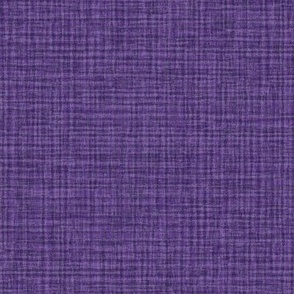 Solid Purple Plain Purple Natural Texture Small Stripes and Checks Grunge Grape Purple Violet 584387 Subtle Modern Abstract Geometric
