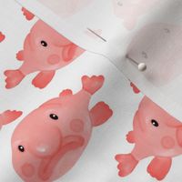 Small Pink Blobfish on White