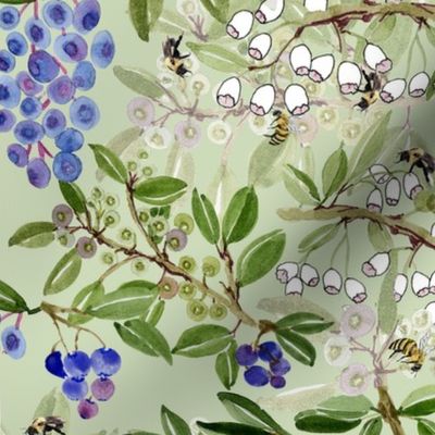 teamwork-bees-and-blueberries