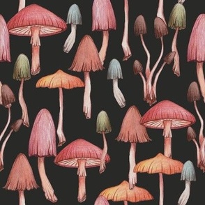 Colorful Mushrooms - Deep