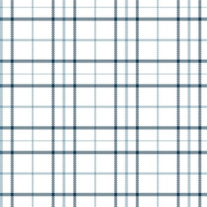 woven plaid in faded denim and navy blue on white