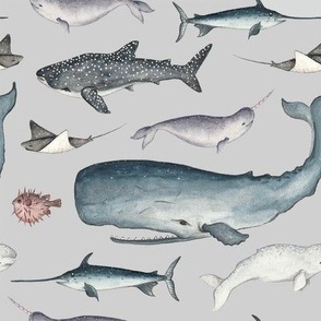 Sea Creatures - Gray