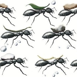 Team Work - Ants version
