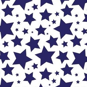Navy stars on white (medium)