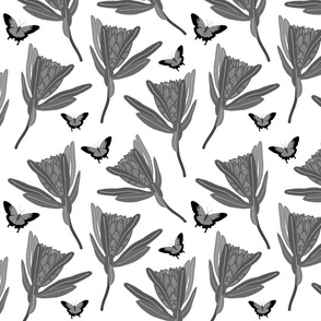 Protea Dance (Ulysses Butterflies) - greyscale on white, medium 