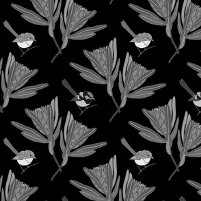 Protea Pirouette (Blue Wrens) - greyscale on black, medium to large 
