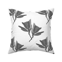 Protea Pirouette - greyscale on white, medium to large 