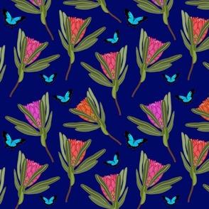 Protea Dance (Ulysses Butterflies) - sapphire blue, medium 