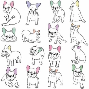 Frenchies with colorful ears having fun