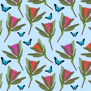 Protea Dance (Ulysses Butterflies) - pastel blue, medium 