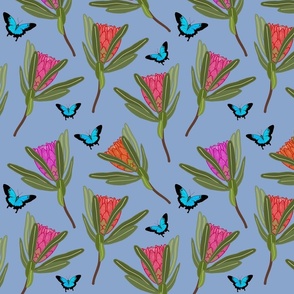 Protea Dance (Ulysses Butterflies) - steel blue, medium 