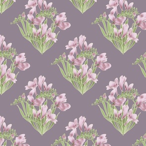 Spring Flowers.Freesias.pink