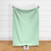 Summer Mint Solid color