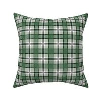 Traditional Winter plaid checkered tartan seasonal western style design abstract autumn texture check print scottish green sage 