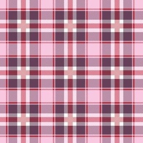 Traditional Winter plaid checkered tartan seasonal western style design abstract autumn texture check print red pink berry purple   