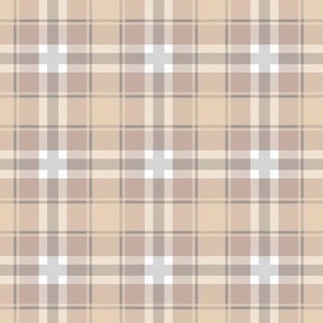 Traditional style summer plaid checkered tartan seasonal western style design abstract spring texture check print sage green pastel olive