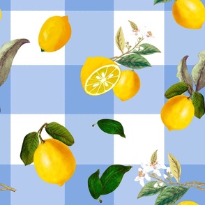 Blue gingham,plaid .Summer, citrus ,lemon fruit pattern 