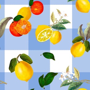 Blue gingham,plaid . Summe,citrus ,lemon ,oranges fruit pattern 