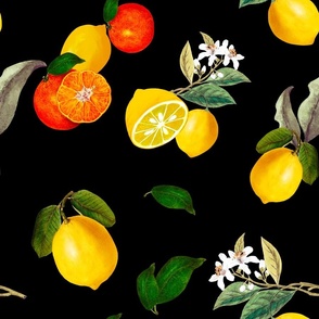 Summer, citrus ,lemon,orange  fruit pattern 