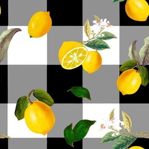 Gingham,plaid ,Summer, citrus ,lemon fruit pattern 