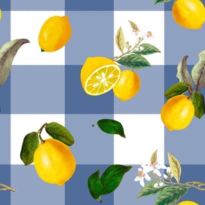 Blue gingham,Summer, citrus ,lemon fruit pattern 