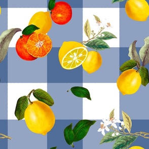 Plaid,gingham, Summer, citrus ,oranges ,lemon fruit pattern 
