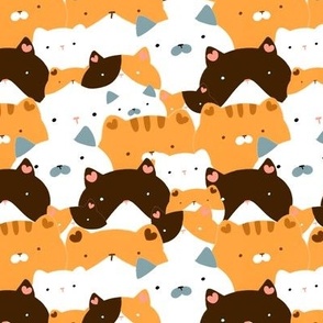 RandomHamster_There are a lot of round cats