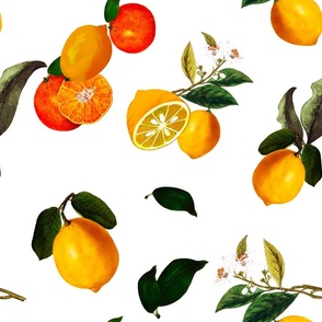 Vintage,summer,Lemons,citrus ,oranges pattern 