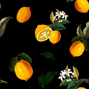 Vintage Summer,citrus ,lemon fruit pattern 
