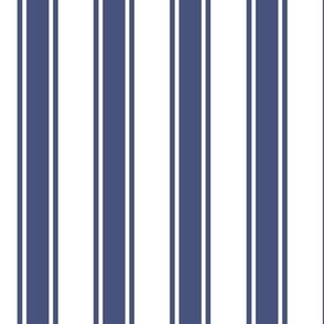 Classic Ticking Stripes in Denim on White