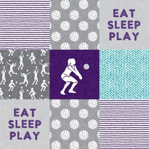Eat Sleep Play - Volleyball patchwork - wholecloth in purple and teal -  LAD22