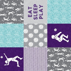 Eat Sleep Play - Volleyball patchwork - wholecloth in purple and teal - (90) LAD22