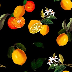Summer, citrus ,lemon fruit,oranges, pattern 