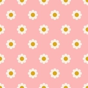 Chamomile flowers on pink